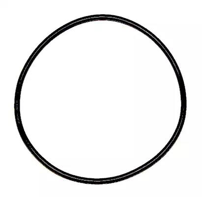 Ущільнювальне кільце 000924 ELRING