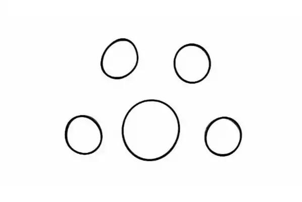 Комплект прокладок з різних матеріалів HA5005 PAYEN