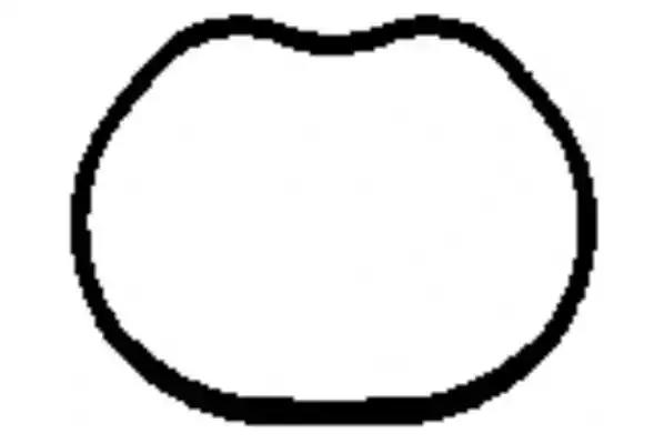 Ущільнення впускний колектор JD5866 PAYEN