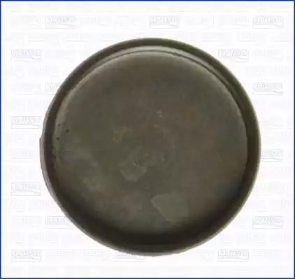 Ущільнювальне кільце вала, кулачковий вал 00766300 AJUSA