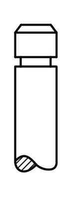 Впускний клапан V91902 AE