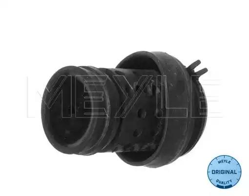 Опора двигуна 1001990036 MEYLE