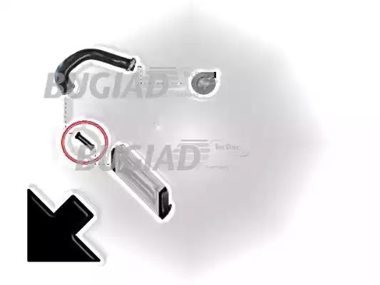 Шланг подачі наддувального повітря 85606 BUGIAD