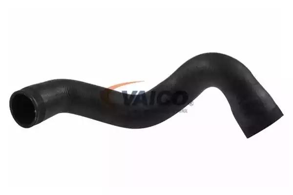 Шланг подачі наддувального повітря V103141 VAICO