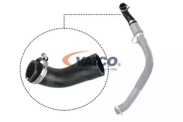 Шланг подачі наддувального повітря V251044 VAICO