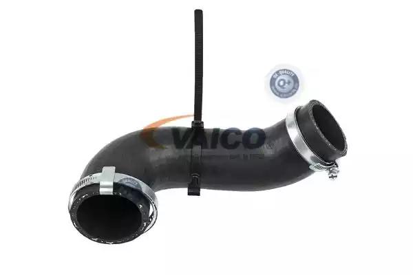 Шланг подачі наддувального повітря V251058 VAICO