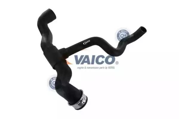 Шланг радіатора V301660 VAICO