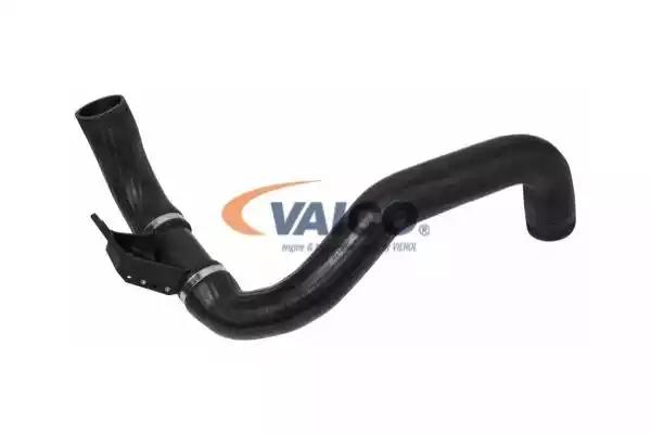 Шланг подачі наддувального повітря V301771 VAICO