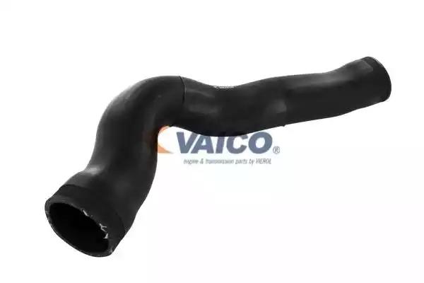 Шланг подачі наддувального повітря V302239 VAICO