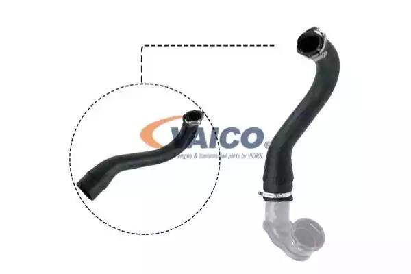 Шланг подачі наддувального повітря V401498 VAICO