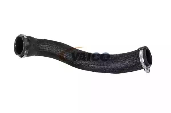 Шланг подачі наддувального повітря V420568 VAICO