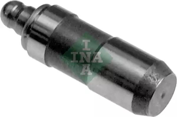 420019810 INA