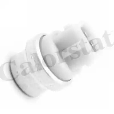 Датчик температури сигнальна лампа caddy ii/golf iii/iv/octavia... TS2900 VERNET