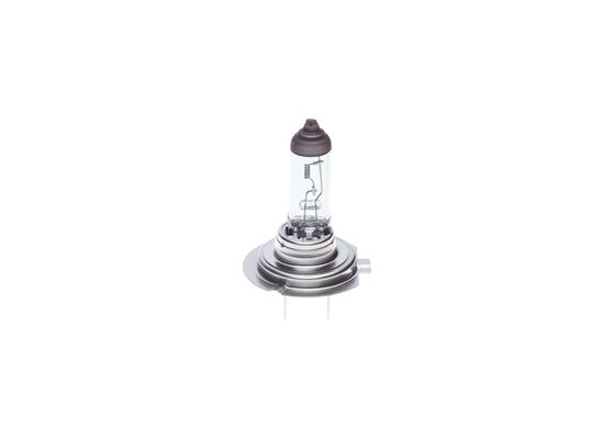 Автомобільна лампа розжарювання 1987302863 BOSCH