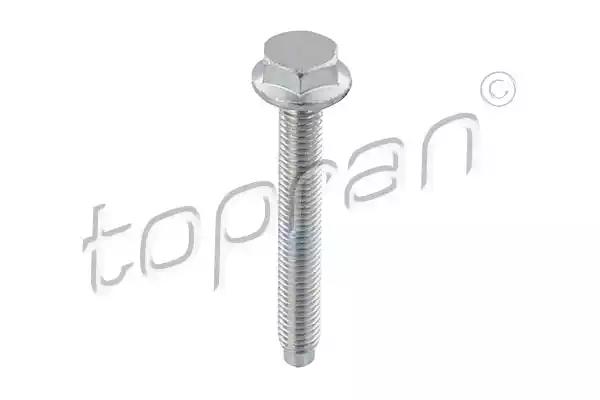 Sruba m8x1.25 60mm 115707 TOPRAN
