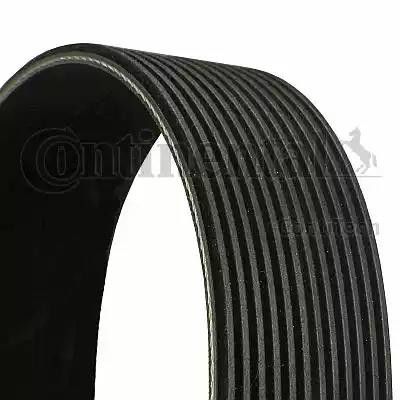  12PK1507 CONTITECH