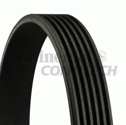 Доріжковий пас 6PK2563 CONTITECH