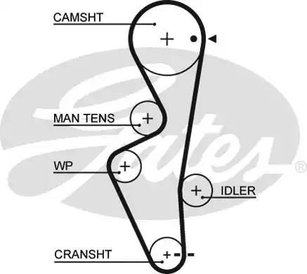 Зубчастий ремінь 5430XS GATES