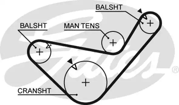 Ремінь грм 5456XS GATES