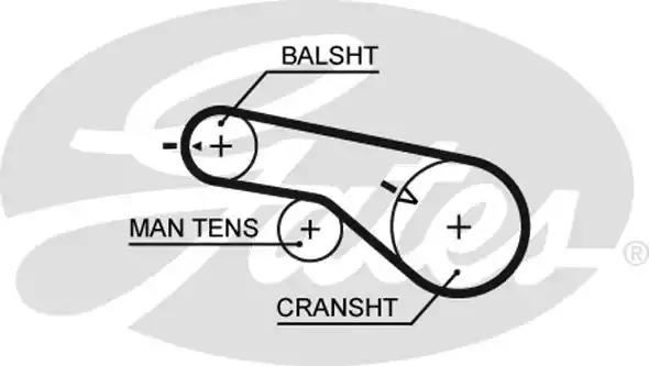 Ремінь зубч. грм z=65 вир-во gates розпродаж 5570XS GATES