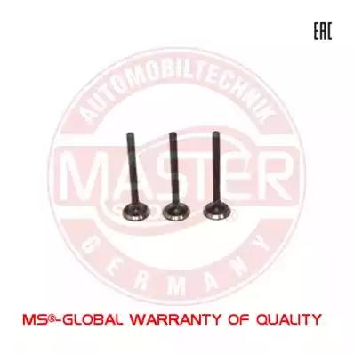  081INSET4MS MASTER SPORT