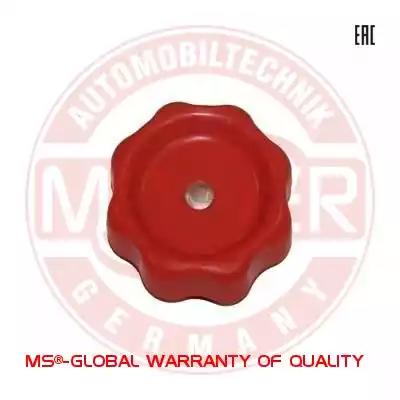  1953DPCSMS MASTER SPORT