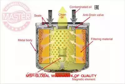  7301MGOFPCSMS MASTER SPORT