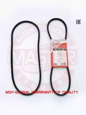  AVX10X950PCSMS MASTER SPORT