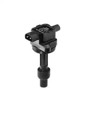 Cewka zaplon BAEA429 CHAMPION