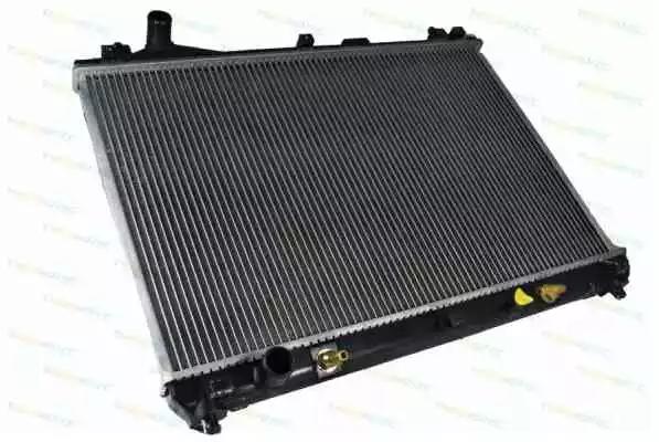 Радіатор двигуна D78004TT THERMOTEC