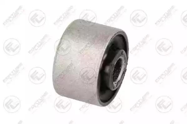  FZ91412 FORTUNE LINE