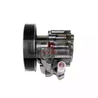 Гідравлічний насос, механізм рульового керування 550017 LAUBER