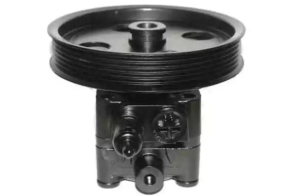 Гідравлічний насос, механізм рульового керування 559682 LAUBER