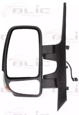 Зовнішнє дзеркало 540204053363P BLIC