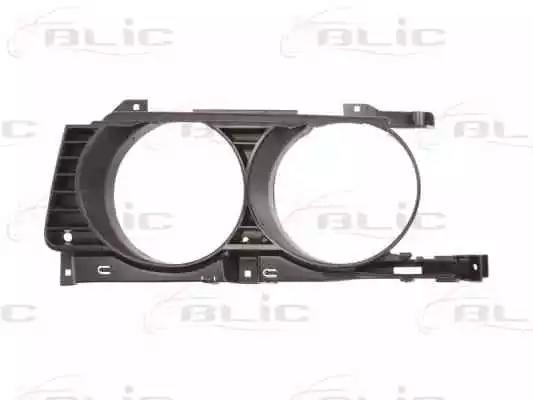 Решітка радіатора 65020700579911P BLIC