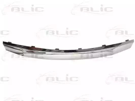 Декоративна/захисна накладка, решітка радіатора 6502071302991P BLIC