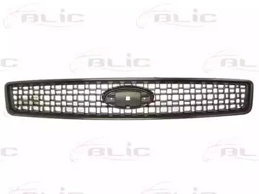 Решітка радіатора 6502072576991P BLIC