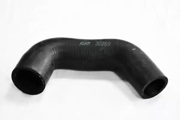 Патрубок 30869 ASAM