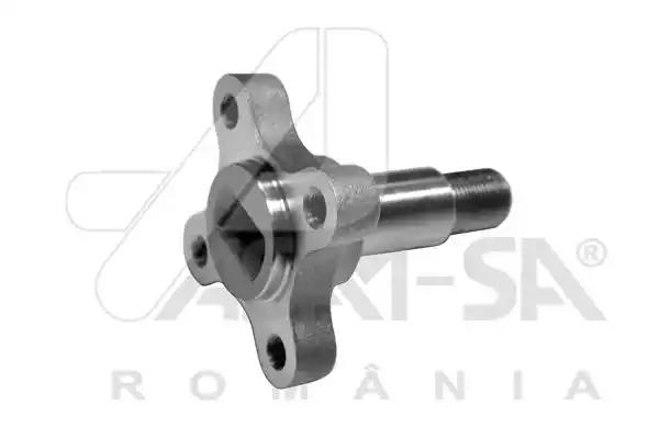 Маточина колеса цапфа задн renault logan 04- duster 10-  asam 32035 ASAM