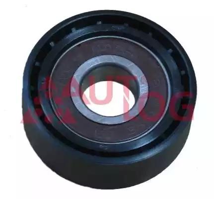 Ролик натяжний transit/mondeo 2.0tdci 00-06 RT1341 AUTLOG