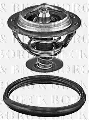 Термостат, охолоджувальна рідина BBT410 BORG & BECK