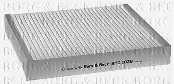  BFC1029 BORG & BECK
