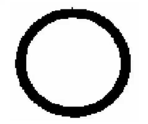 Прокладка колектора впуск master/trafic 2.2/2.5dci 01- необх.4 шт AH5383 BGA