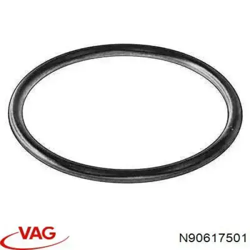 Кільце ущільнювальне N90617501 VAG