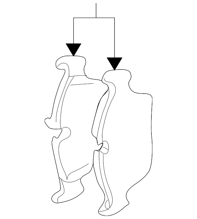 Комплект гальмівних накладок, дискове гальмо 34112282416 BMW