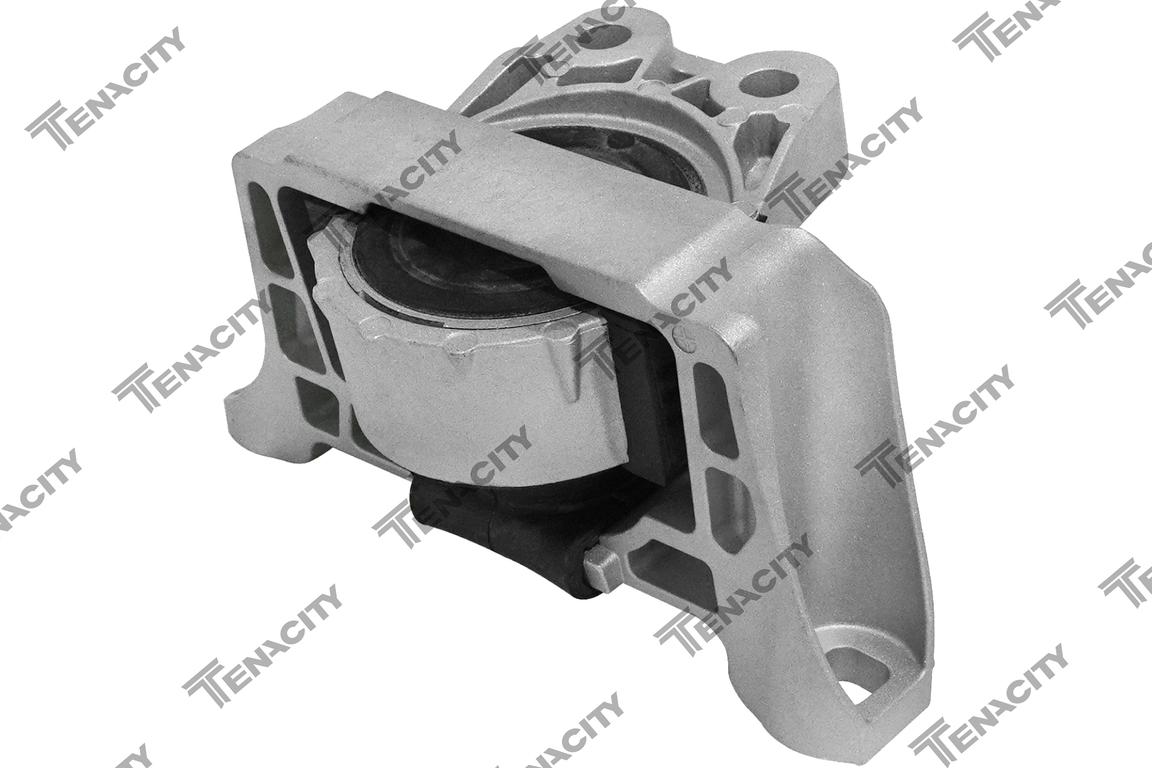 Подушка двигуна r AWSFO1137 TENACITY