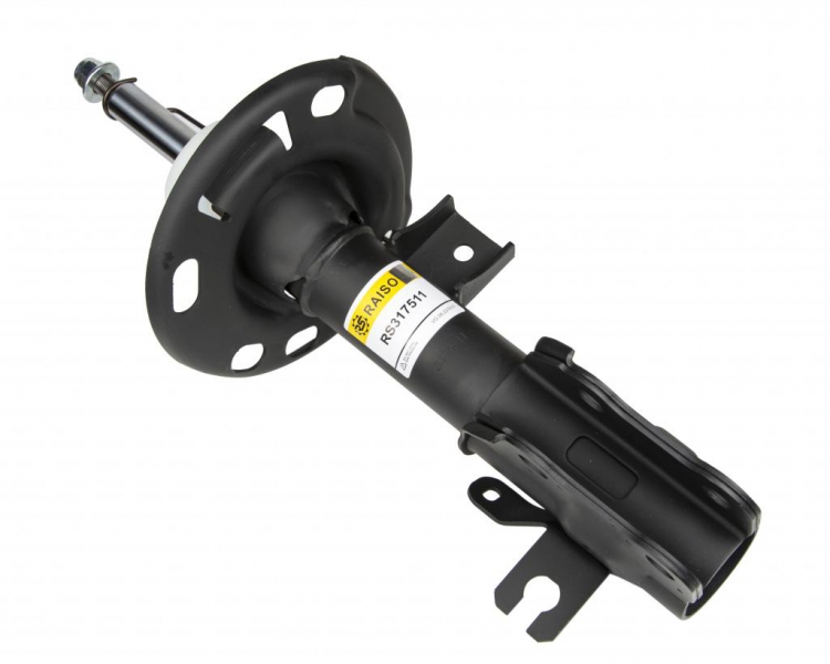  RS317511 RAISO