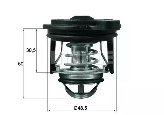 Termostat ford TI24650 BEHR HELLA