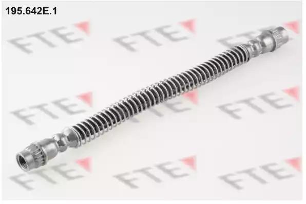 Гальмівний шланг 195642E1 FTE