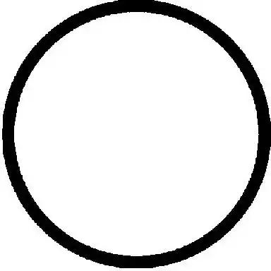 Прокладка головка цилиндра 612345500 VICTOR REINZ